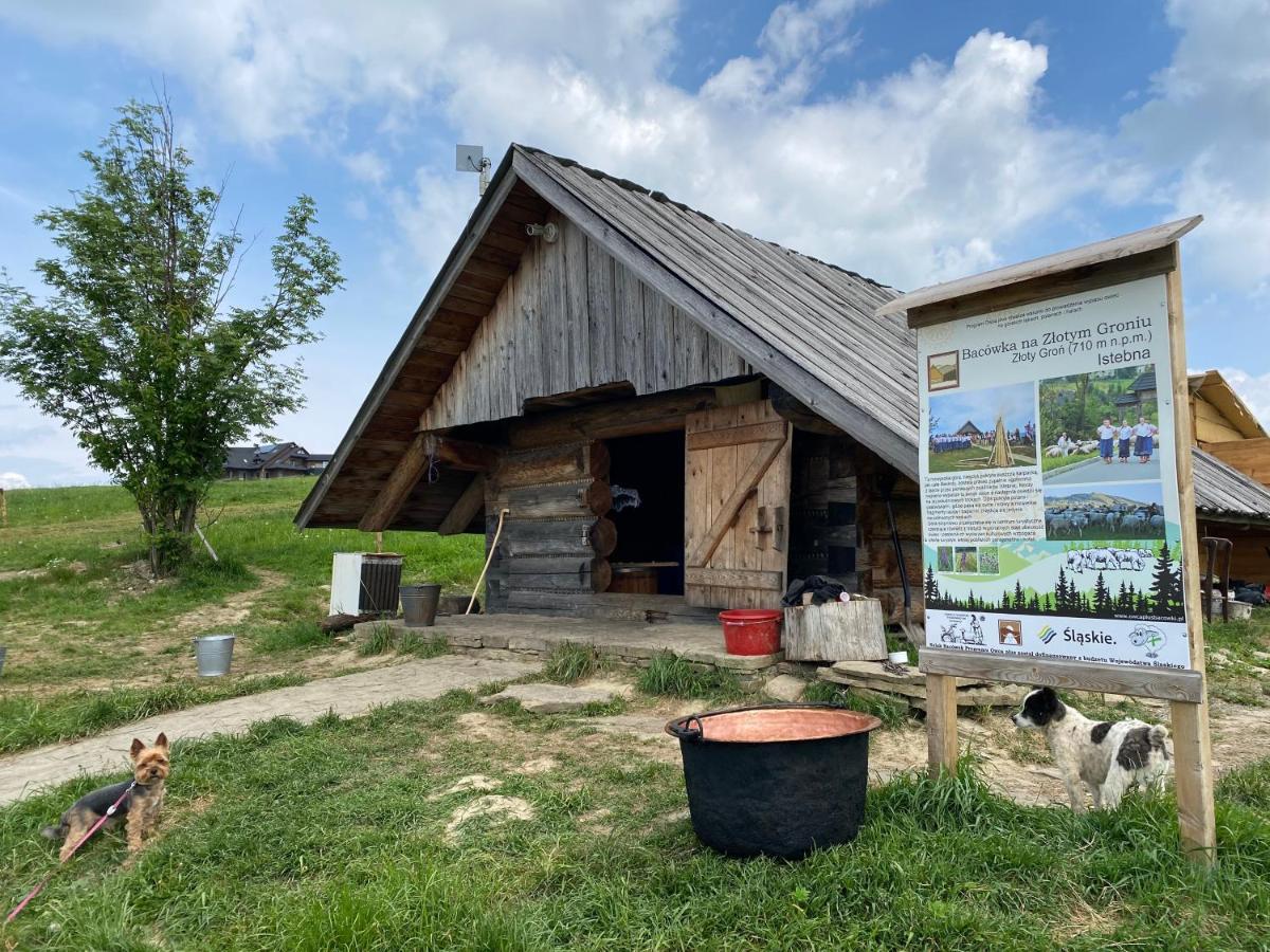 Zloty Gron Log Houses & Apartments Istebna Exterior photo